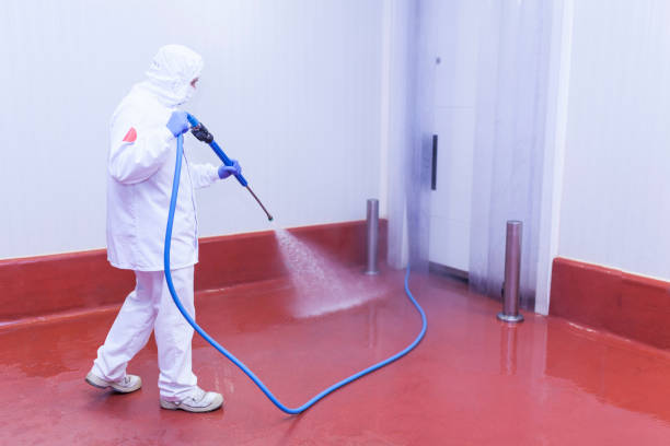 Best Oil Spill Cleanup  in Hartford, MI