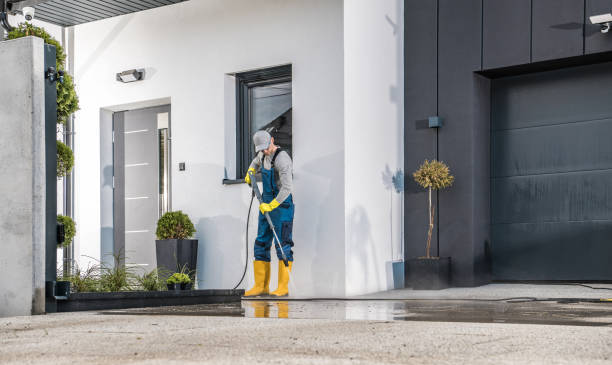 Best Residential Exterior Washing  in Hartford, MI